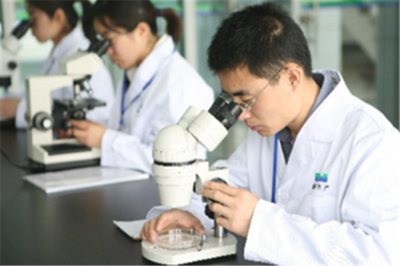 康源食品 生物科技研究開發的創新先鋒